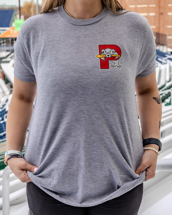 Baseballism Ballpark Grid  T-Shirt