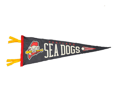 Sea Dogs Oxford Full Size Pennant 9" x 27"