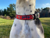 Portland Sea Dogs Pet Collar - Retro Teal