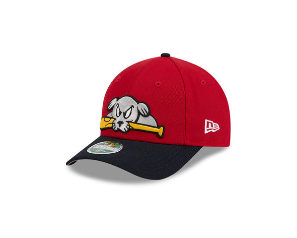Portland Sea Dogs Youth 9Forty MCrown Slugger Hat