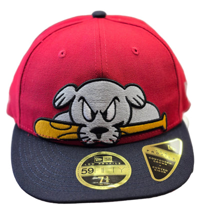 Portland Sea Dogs Slugger Low Profile Fitted Cap