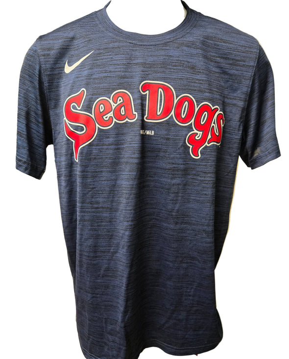 Portland Sea Dogs Nike Legend Velocity Tee