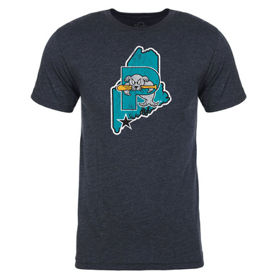 Retro Teal Pinstriped Replica Jersey – Portland Sea Dogs