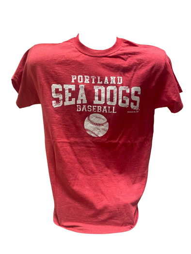 Portland Sea Dogs jerseys for Star Wars night : r/redsox